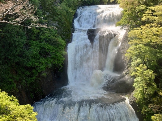 新緑に包まれた【袋田の滝】！自然のパワーで身も心も癒されよう！　1泊2食バイキングプラン